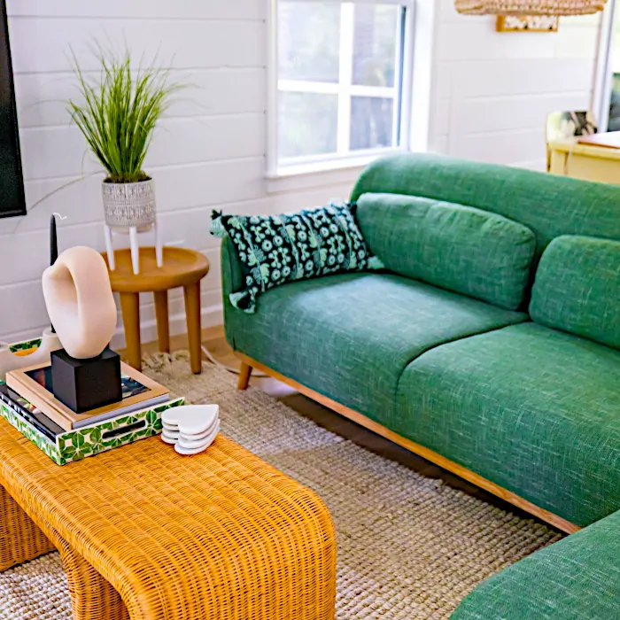 Affordable green house clean ing Walnut Creek